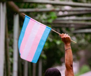 Trans Flag